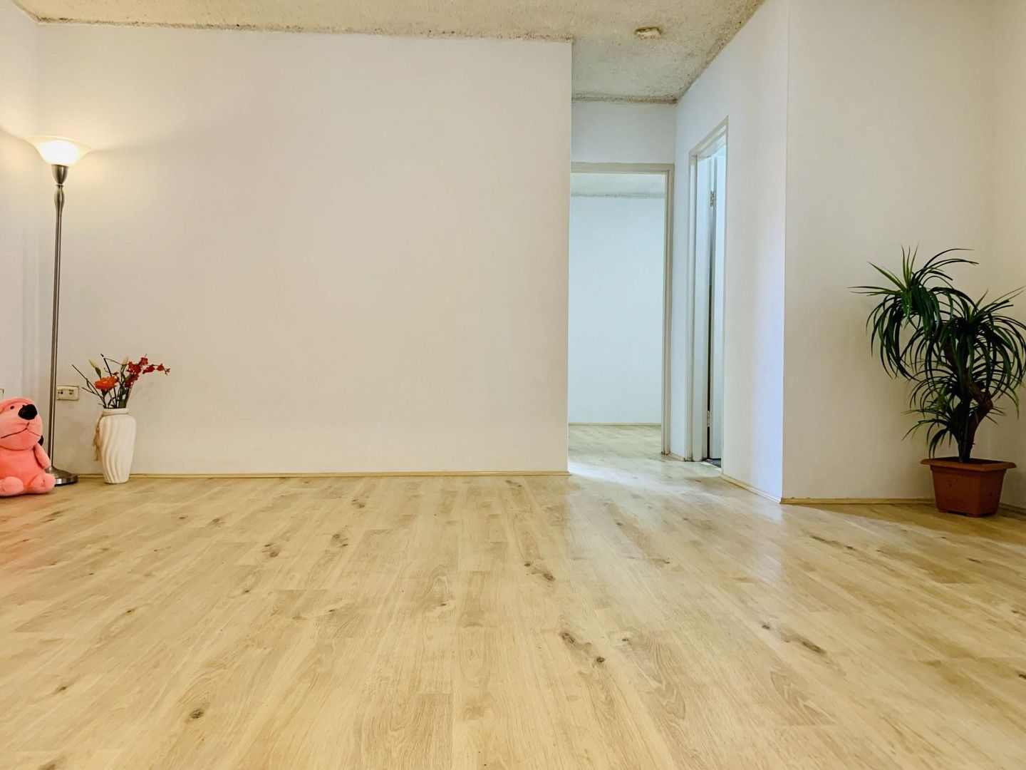 2 bedrooms Apartment / Unit / Flat in 2/1 Calder Rd DUNDAS NSW, 2117