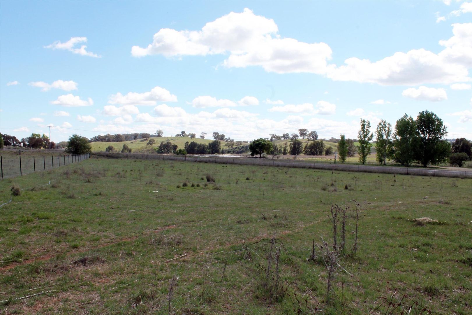 8 Speedy Street, Molong NSW 2866 Domain