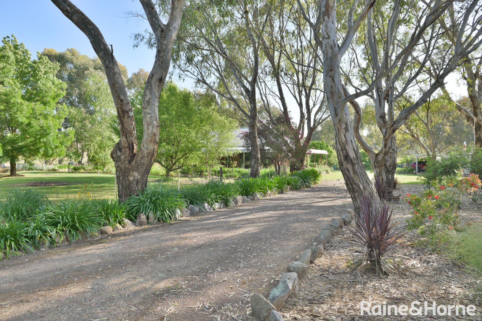 1400 Wombat Road Via Young, Wombat NSW 2587, Image 1