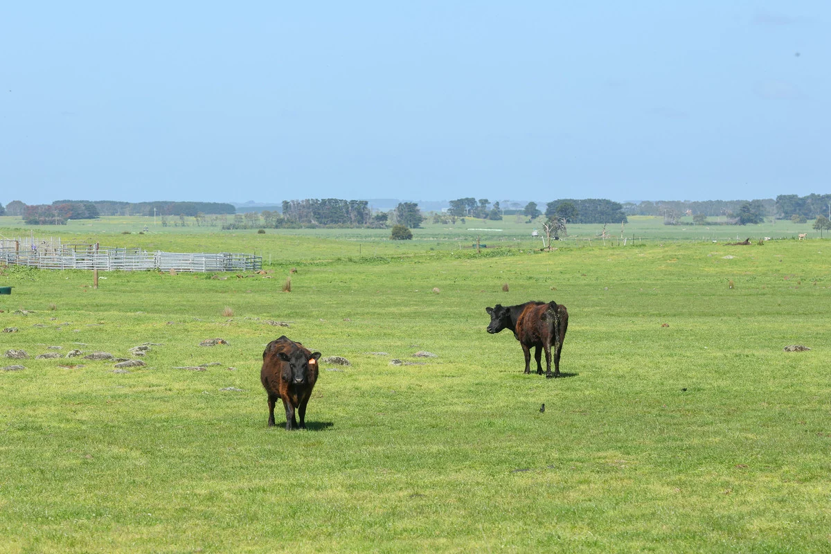 Additional image 26 of 170 Allans Road, Framlingham VIC 3265