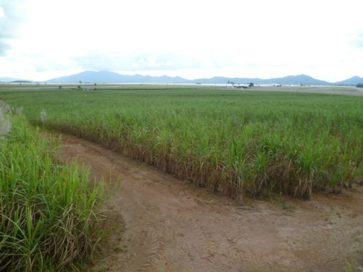 Innisfail QLD 4860 Farm for Sale 4,350,000 Domain