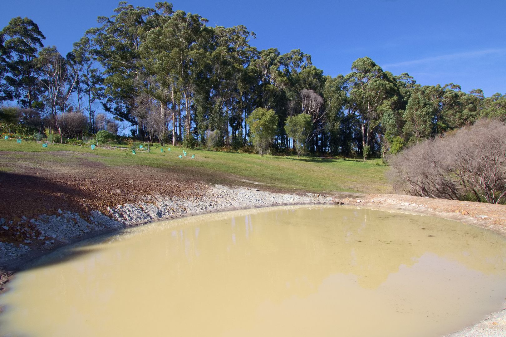 3 BAYVIEW RISE, Shadforth WA 6333 - Vacant Land for Sale | Domain