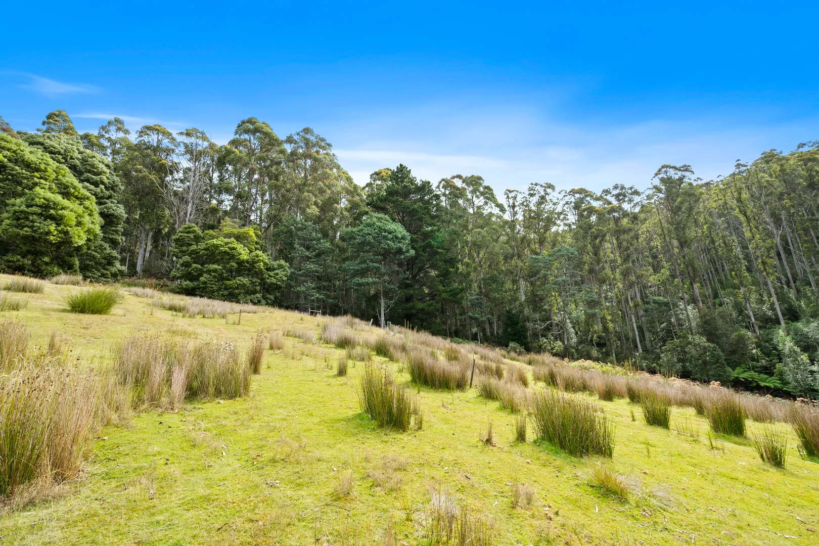 Additional image 19 of 284 Llantwit Road, Woodbridge TAS 7162