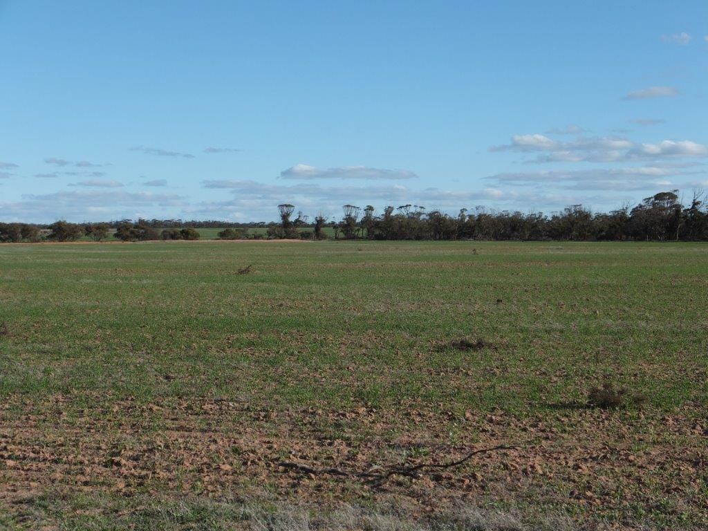 Lot 1 Pollard, KALANNIE WA 6468, Image 0