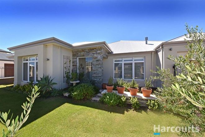 Picture of 42 Whitehorses Drive, BURNS BEACH WA 6028