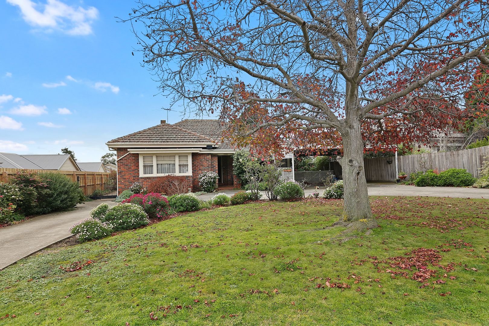 104 Mt Pleasant Road, Belmont VIC 3216 Domain