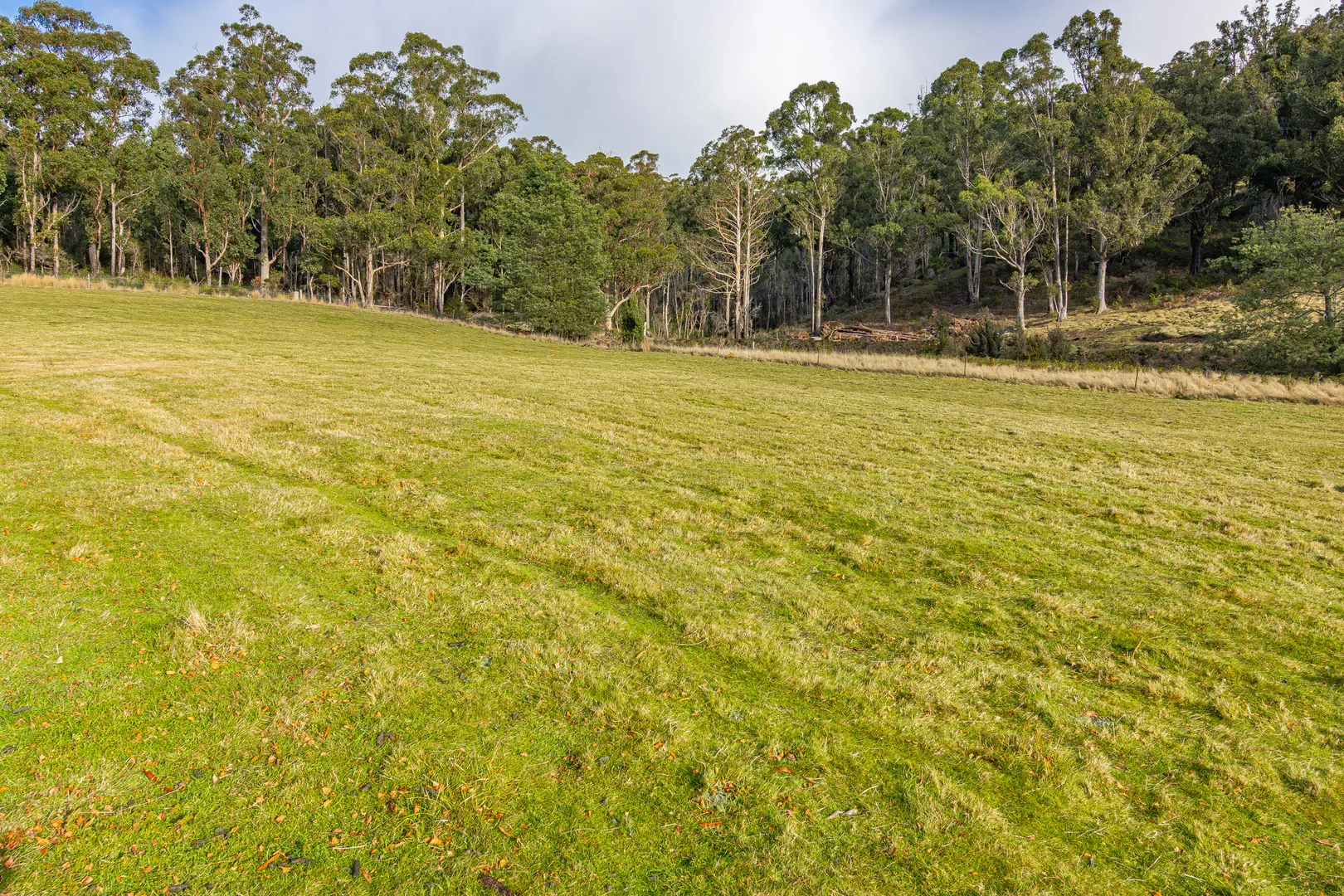 Image 18
