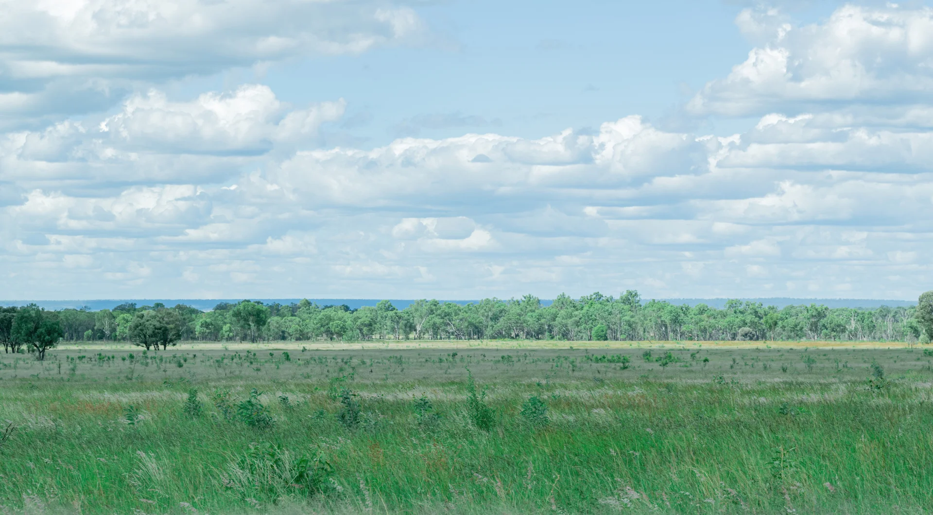 Image 27