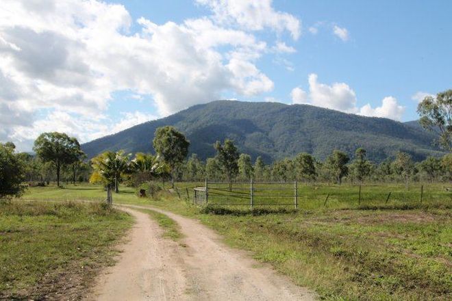 Picture of 2254 Woodstock Giru Road, MAJORS CREEK QLD 4816