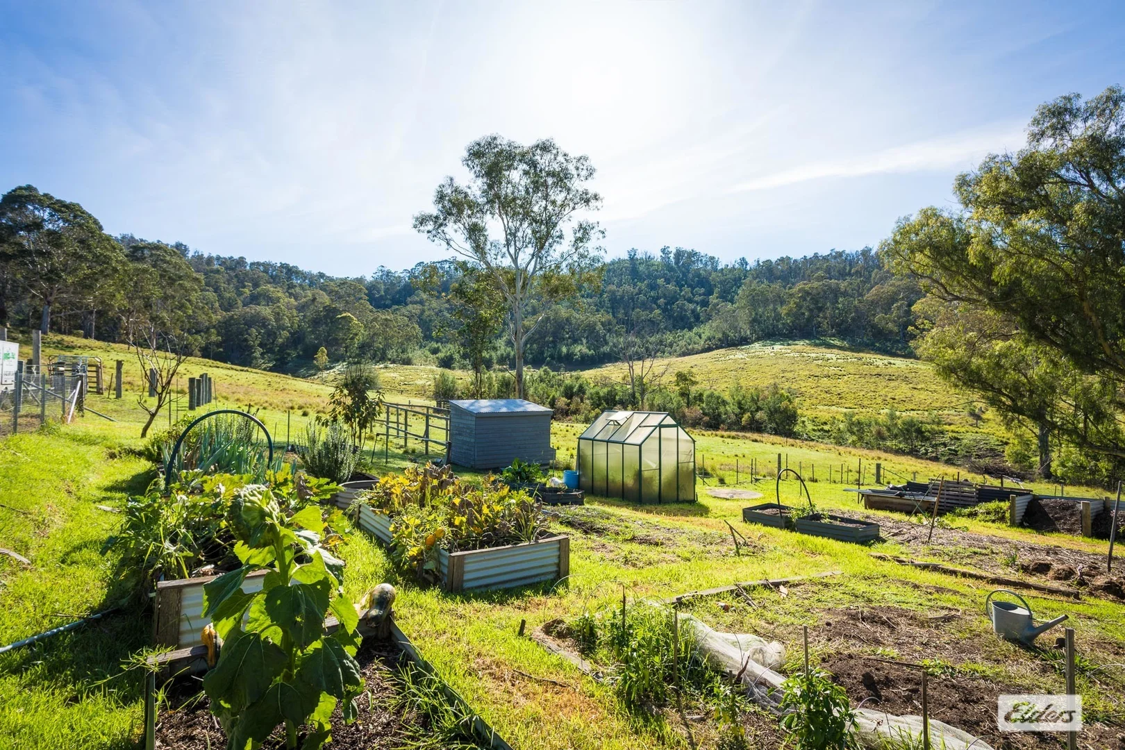 Additional image 39 of 613 New Buildings Road, Wyndham NSW 2550