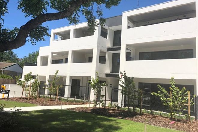 6 3 Bedroom Apartments For Rent In Dickson Act 2602 Domain