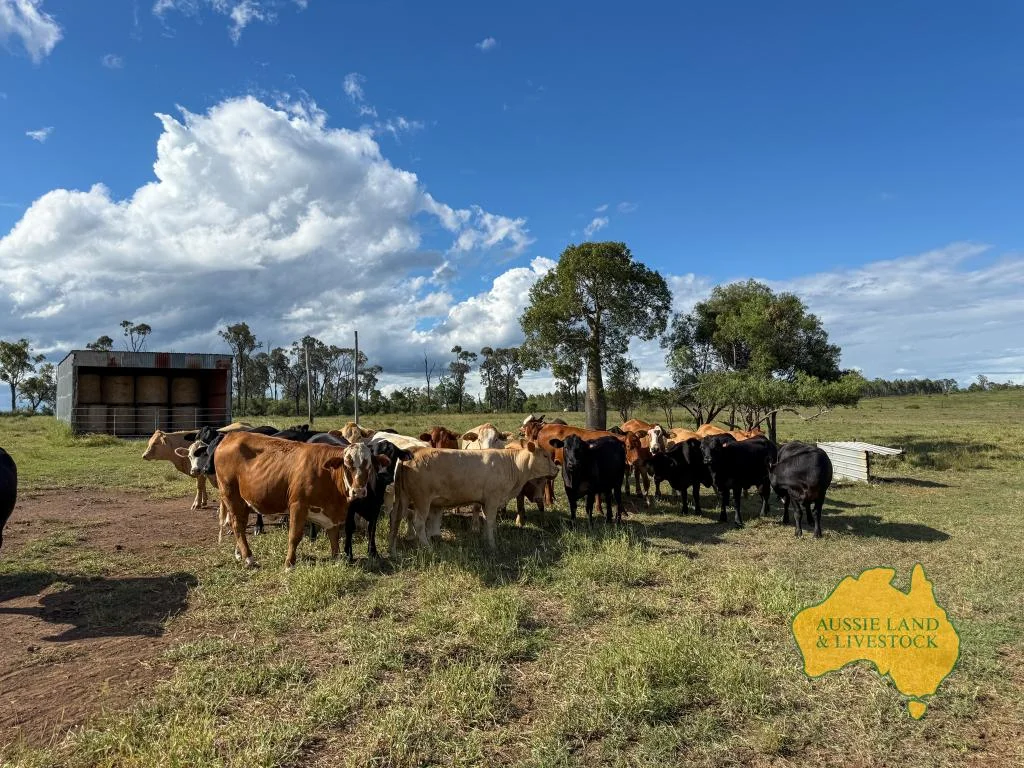 Additional image 32 of 854 MUNDUBBERA-DURONG ROAD, Boynewood QLD 4626