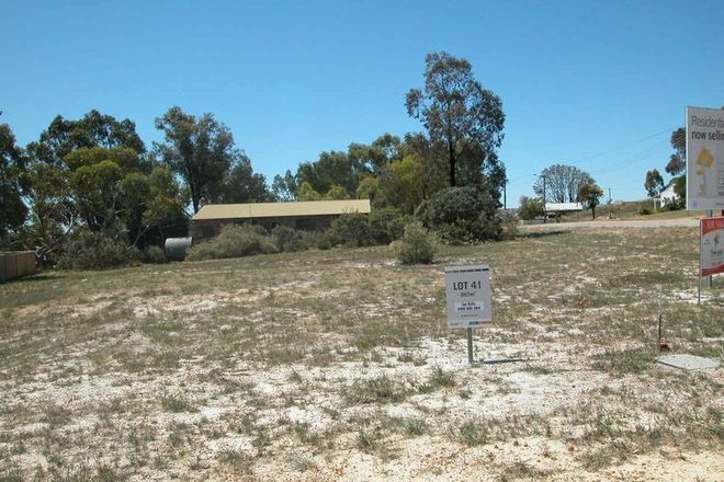 Picture of 17 Lang Street, BADGINGARRA WA 6521