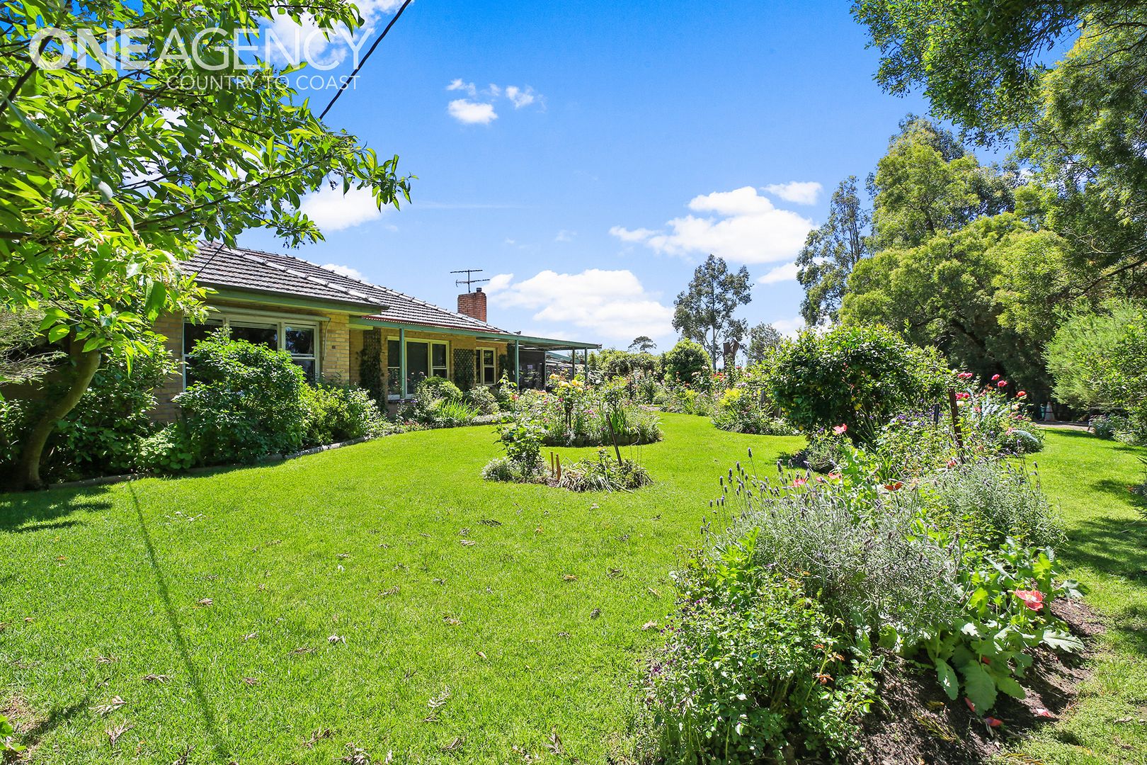 19 Eight Mile Road, Trafalgar VIC 3824, Image 1