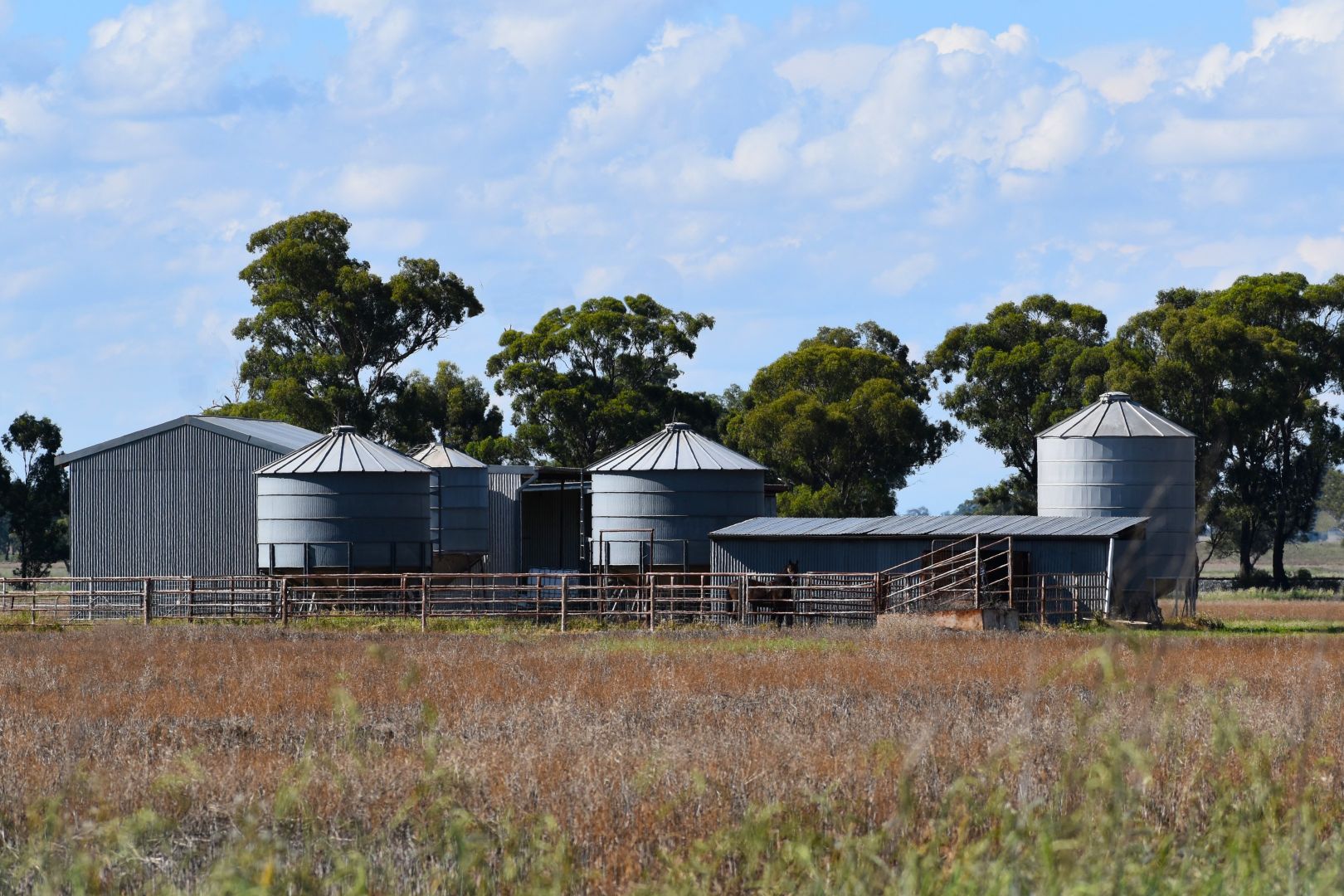 "Billabong Park", 11 Brolgan Road, Parkes NSW 2870, Image 2