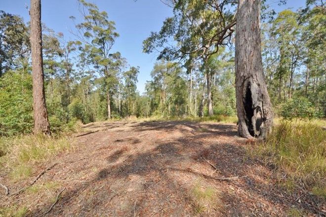 Picture of Lot 3 Wilson Road, CONGARINNI NORTH NSW 2447