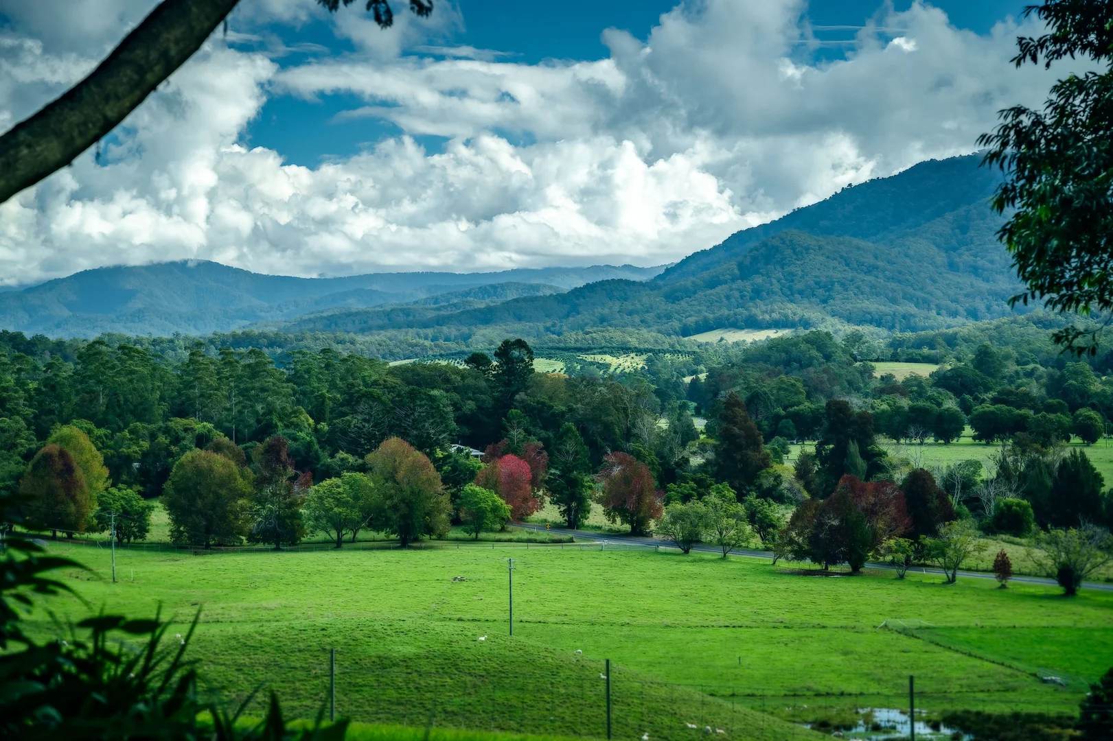 Additional image 40 of 2165 Waterfall Way, Thora NSW 2454