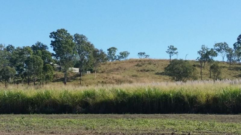 50 Dunwold-Cattle Creek Road, GARGETT QLD 4741, Image 1