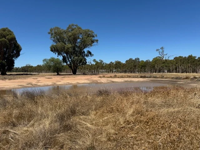 Image 10