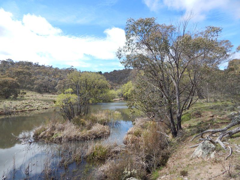 Lot 53 Nimmo Rd, Eucumbene NSW 2628, Image 2