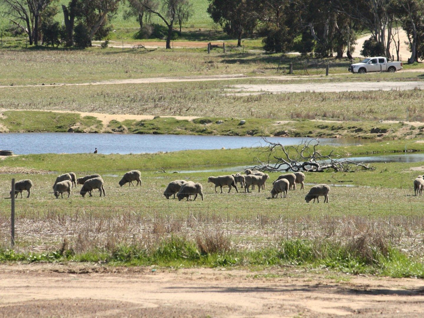 139 Drayton Road, Wagin WA 6315, Image 0