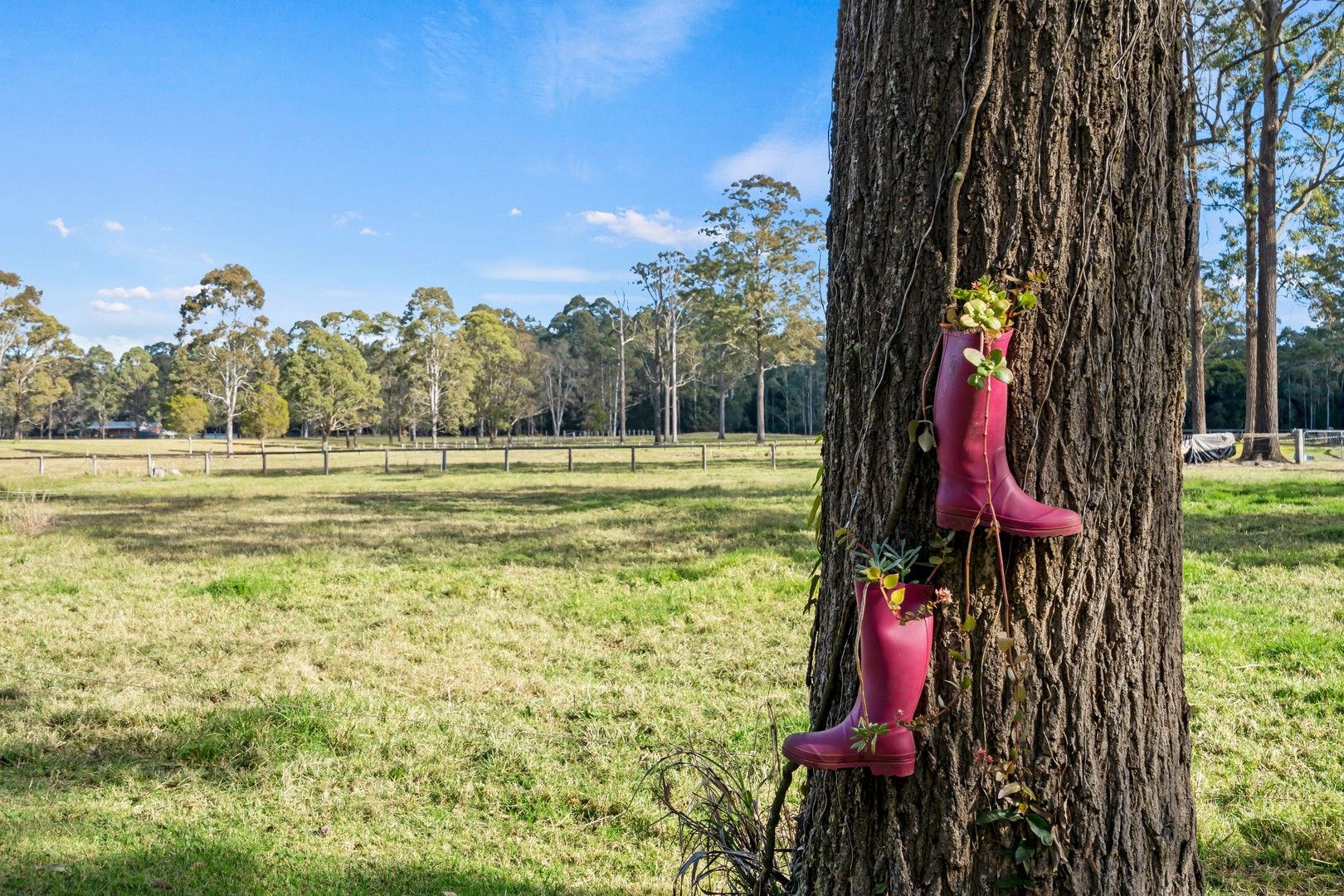 721 The Bucketts Way, Limeburners Creek NSW 2324 House for Sale