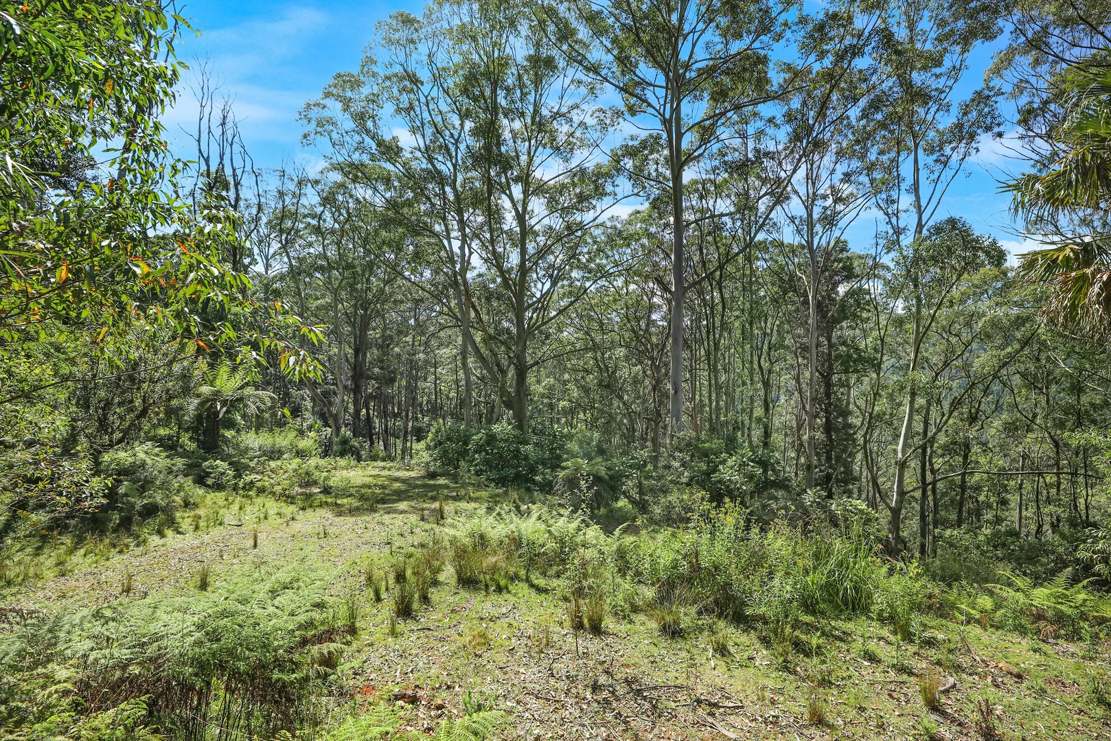 Image 6
