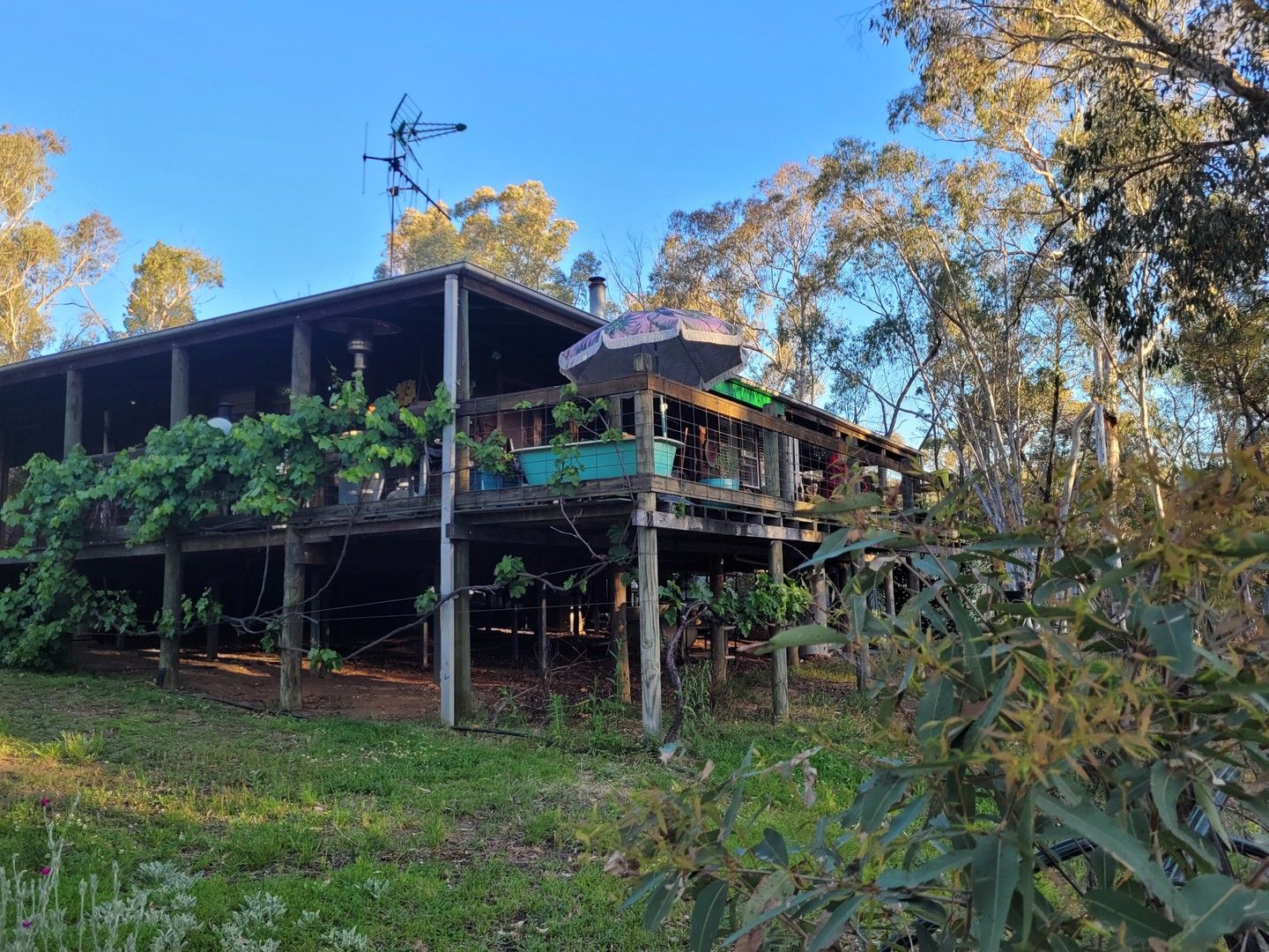 62 KOALA CRESCENT, Coonabarabran NSW 2357 House for Sale 620,000