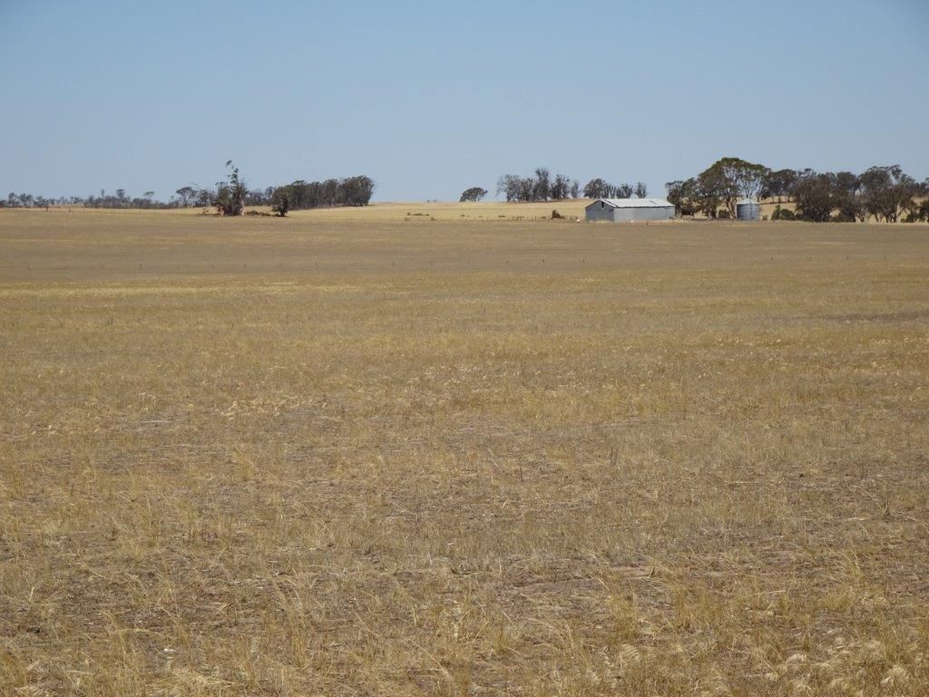 Lots Fence Road West, Kulin WA 6365, Image 0