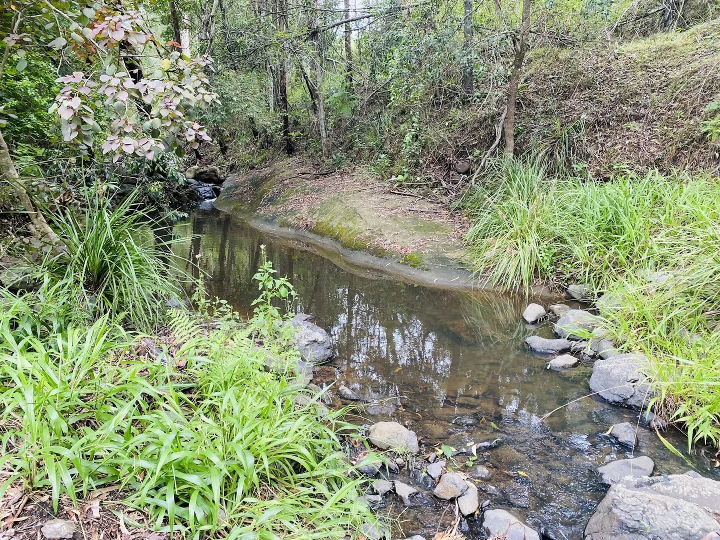Additional image 8 of 130-136 Wagonwheel Road, Boyland QLD 4275