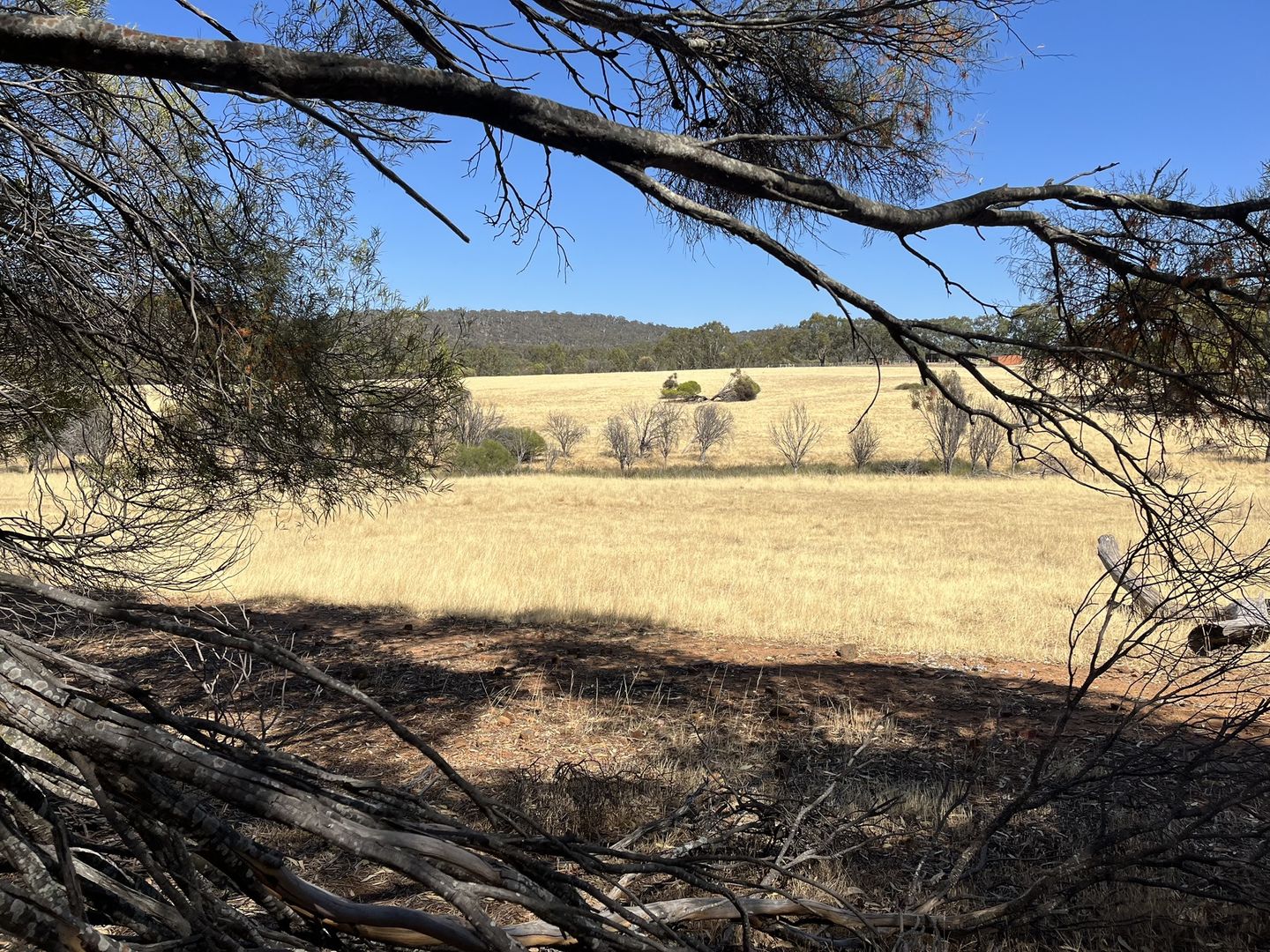 Lot 15 Eadine Road, Clackline WA 6564, Image 1