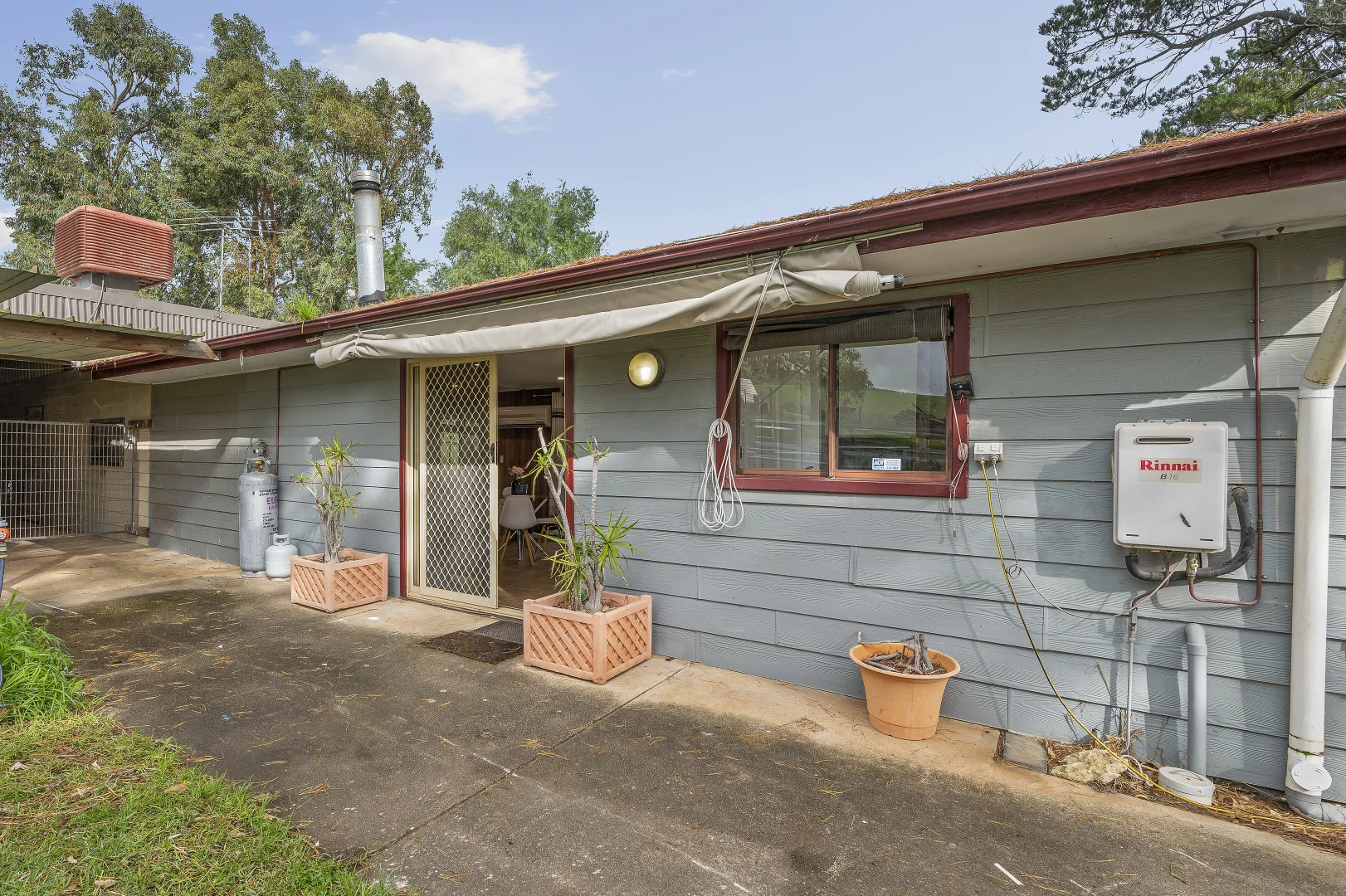 Image 21