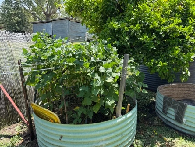 Image 10