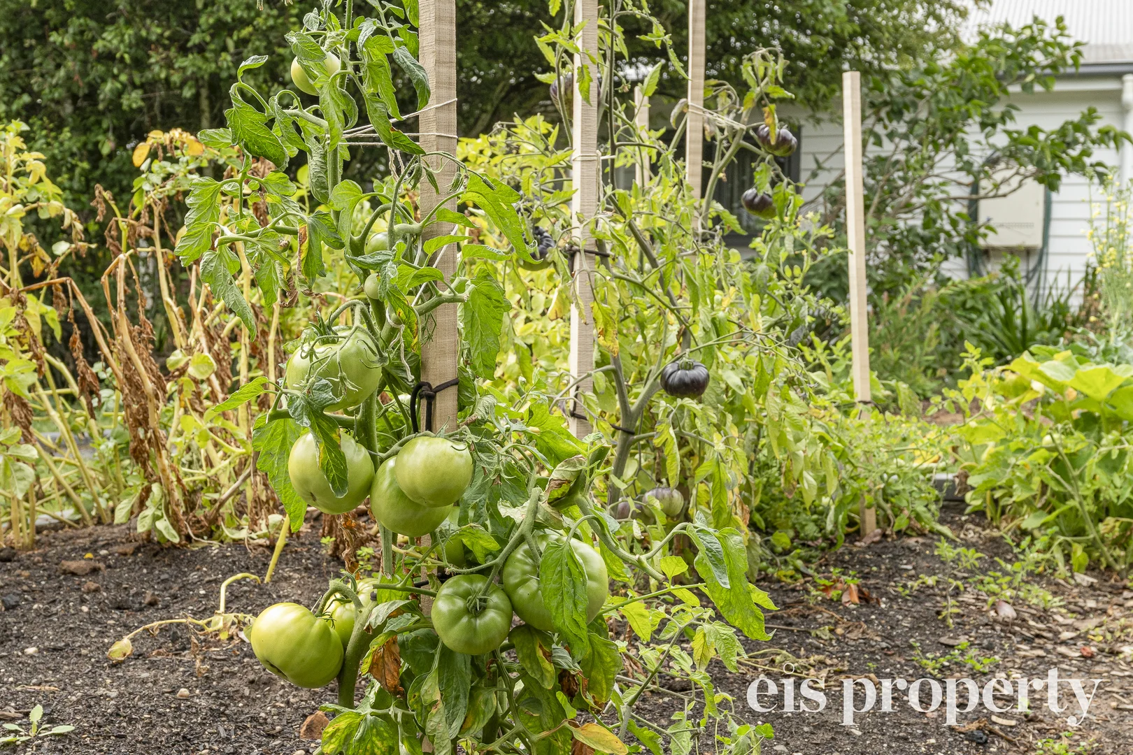 Additional image 28 of 12 Church Street, Ross TAS 7209