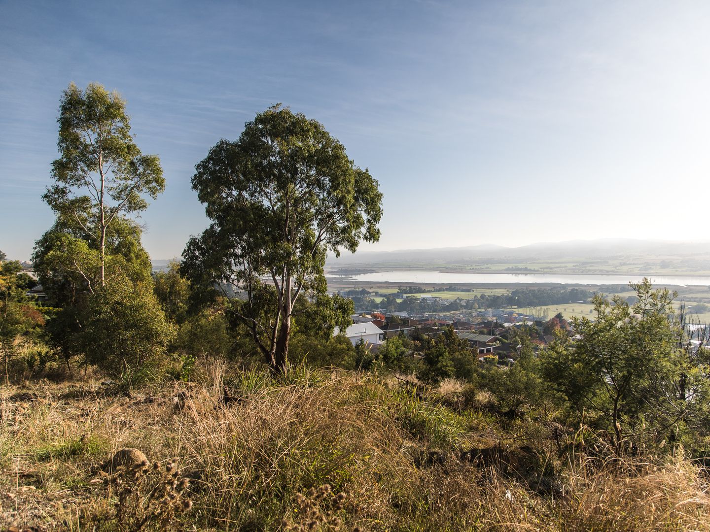 14 Allison Avenue, Riverside TAS 7250, Image 2