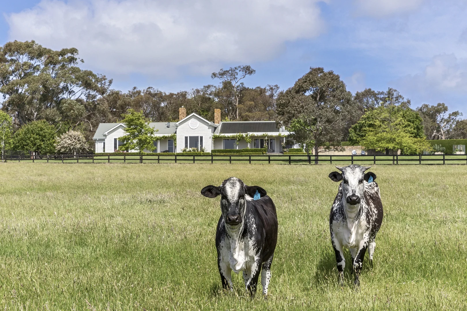 Additional image 22 of 60 Tubbarubba Road, Merricks North VIC 3926