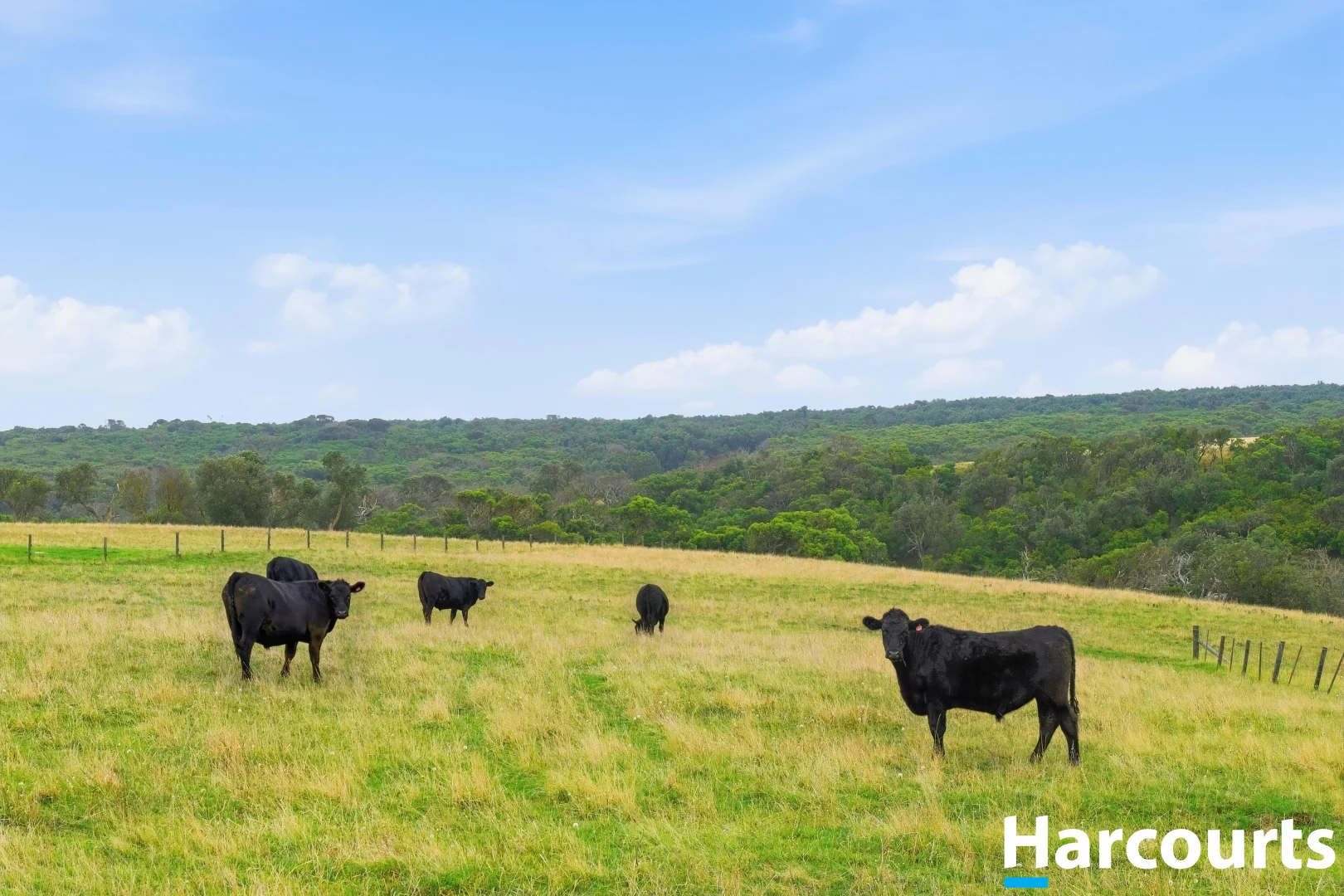 Additional image 32 of 80 Munbilla Road, Tarwin Lower VIC 3956