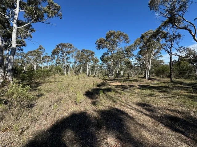 Image 11