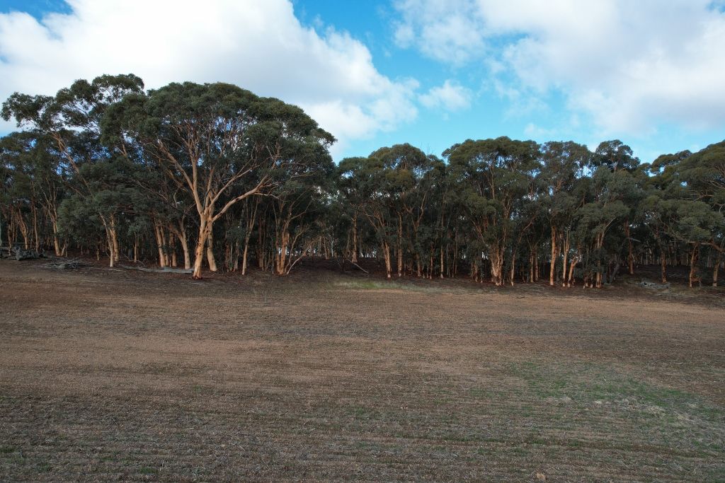 Lot 6494 Talbot Road, Talbot WA 6302, Image 2