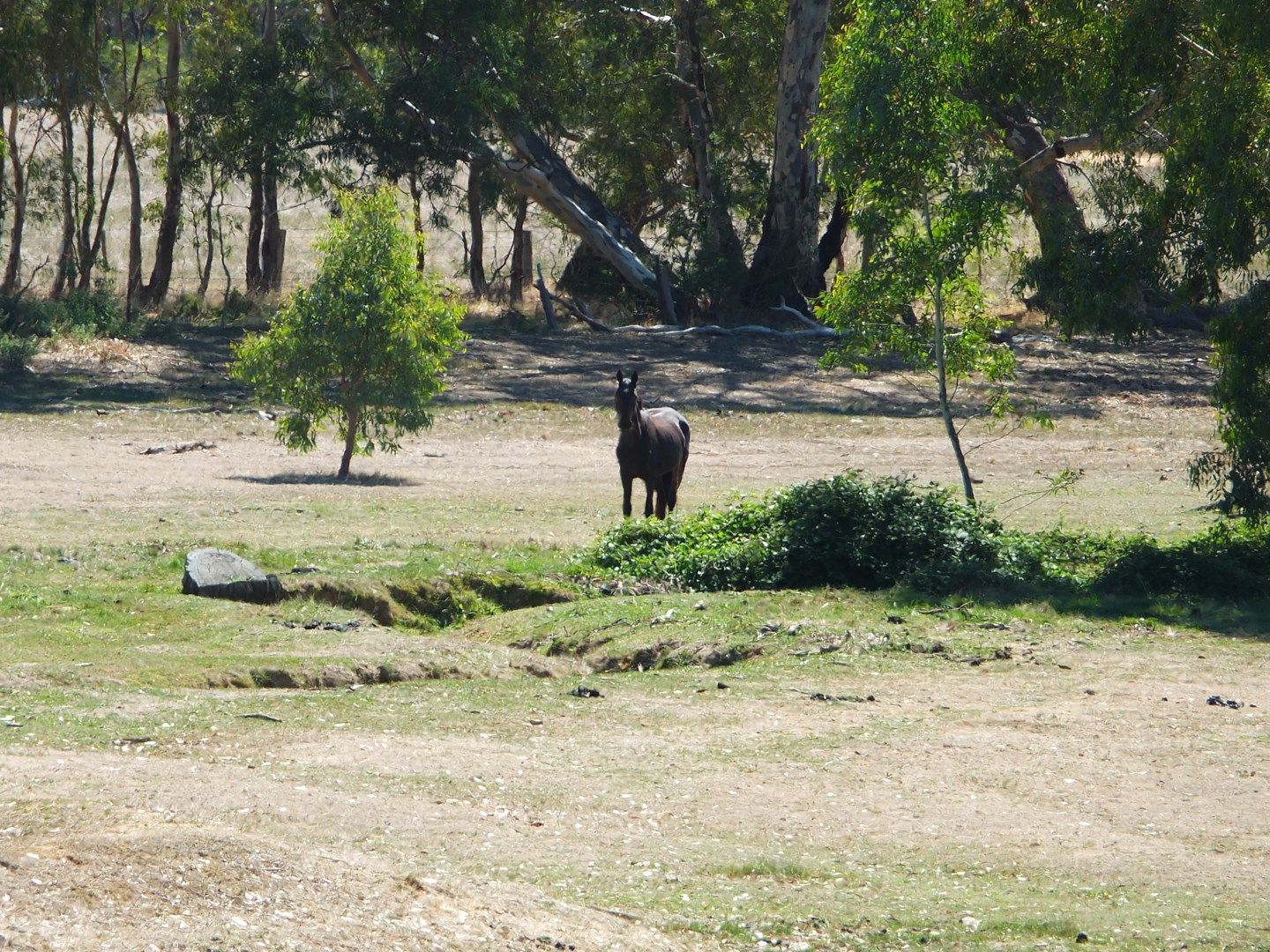 CA 23E,22E ,3F Stony Crossing Road, Redbank VIC 3477, Image 0