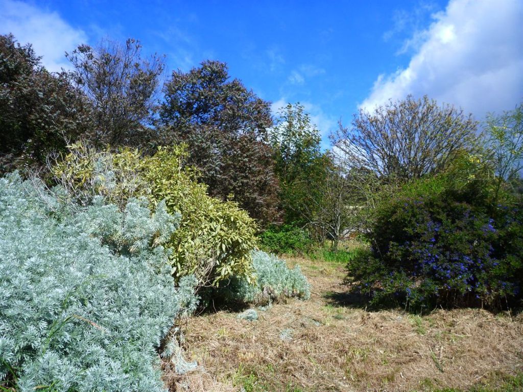 61 Payne Street, Beaconsfield TAS 7270, Image 1