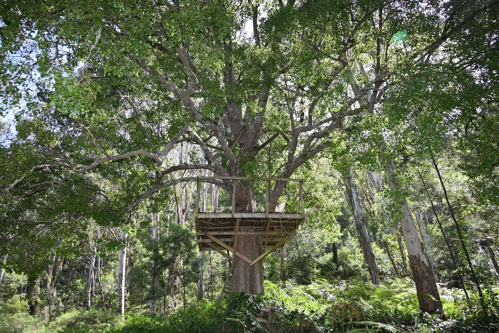 Additional image 15 of Upper Yango Ck Rd, Laguna NSW 2325