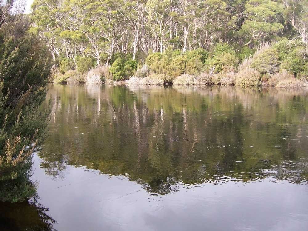 Lot 2 Lyell Highway, DERWENT BRIDGE TAS 7140, Image 1