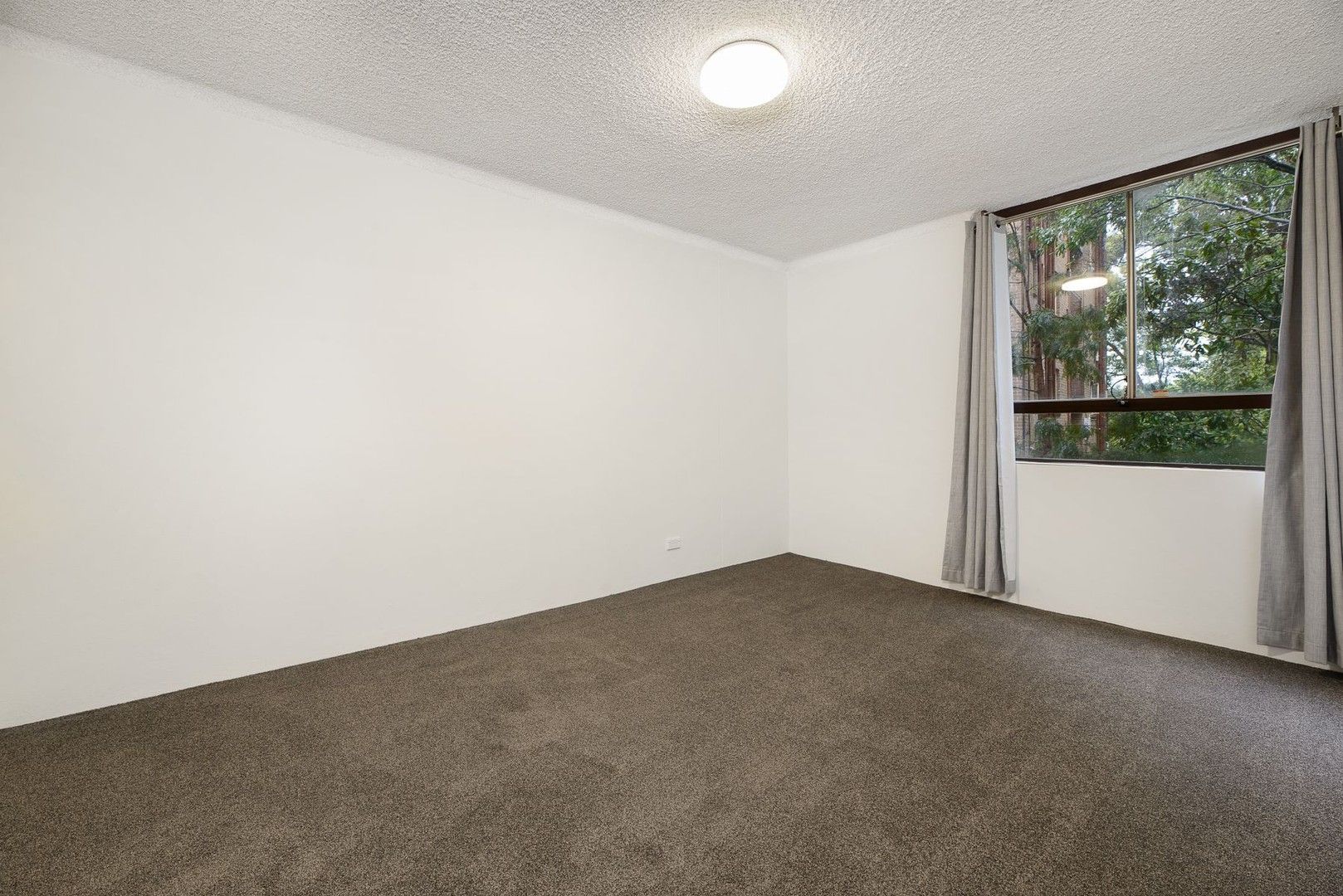 1 bedrooms Apartment / Unit / Flat in 3C/14 Bligh Place RANDWICK NSW, 2031