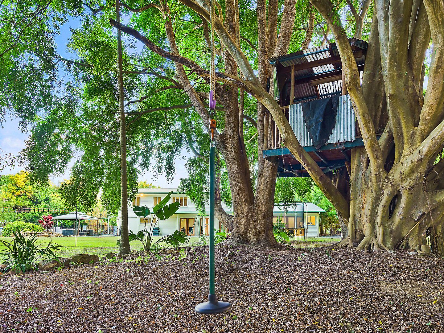 53 Fin Court, Elimbah QLD 4516, Image 2