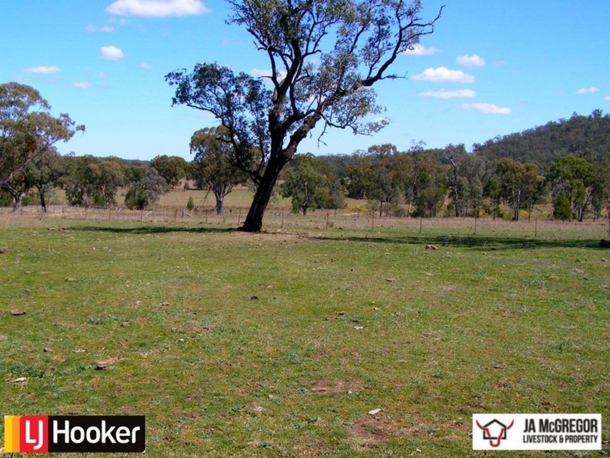 1590 Oregan Road, Warialda NSW 2402, Image 1