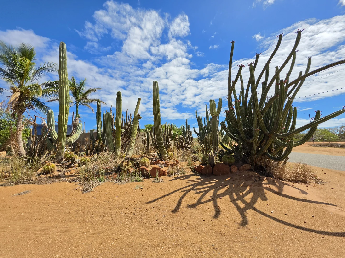 Additional image 9 of 366 South River Road, Carnarvon WA 6701