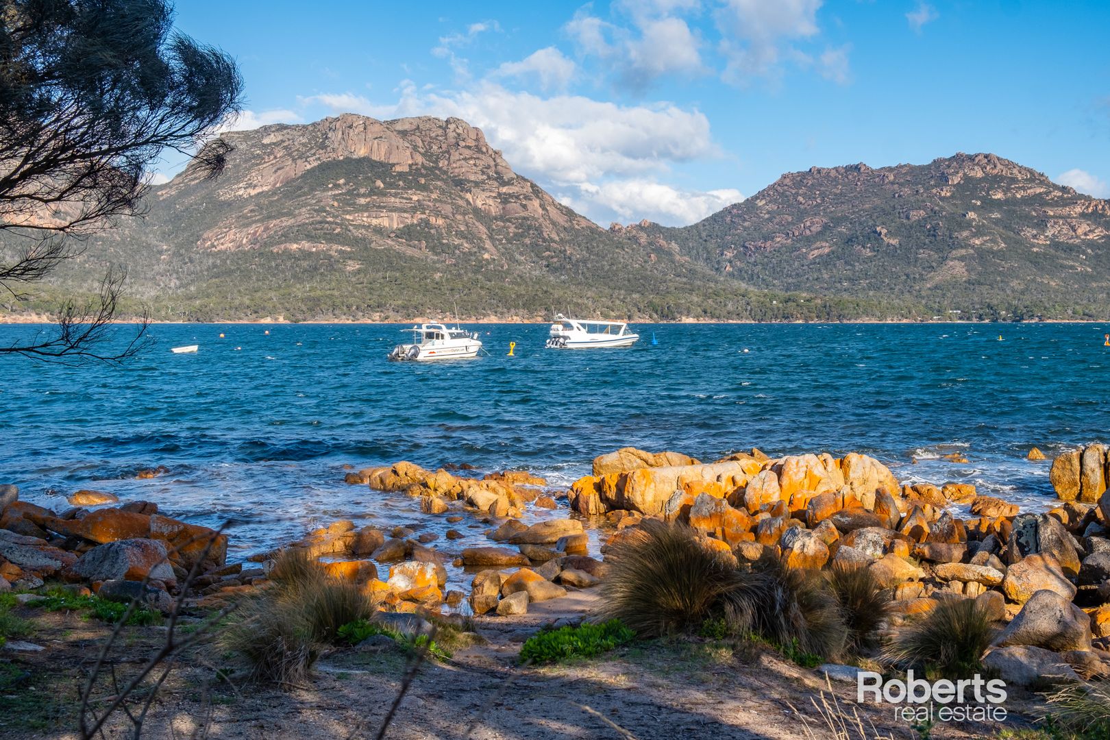 37 Jetty Road, Coles Bay TAS 7215, Image 1