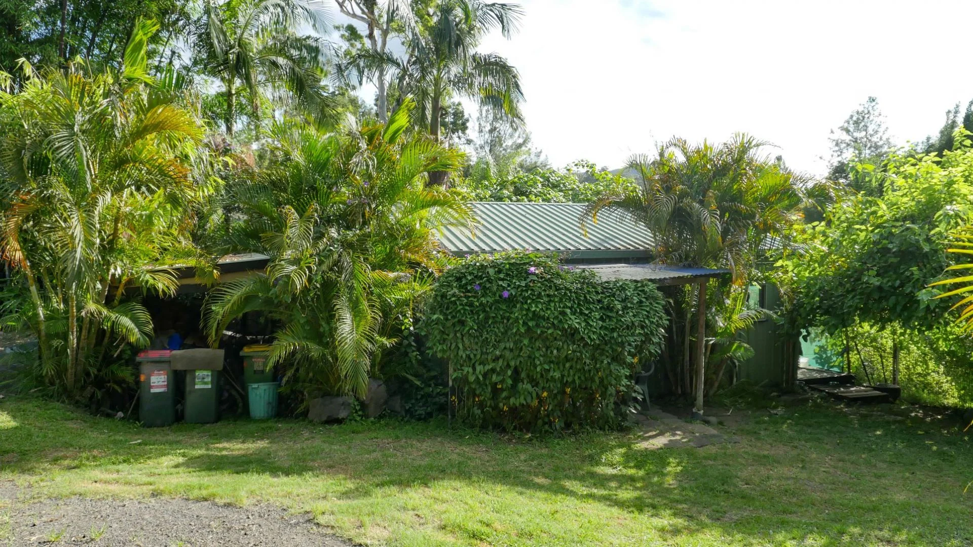 Image 13