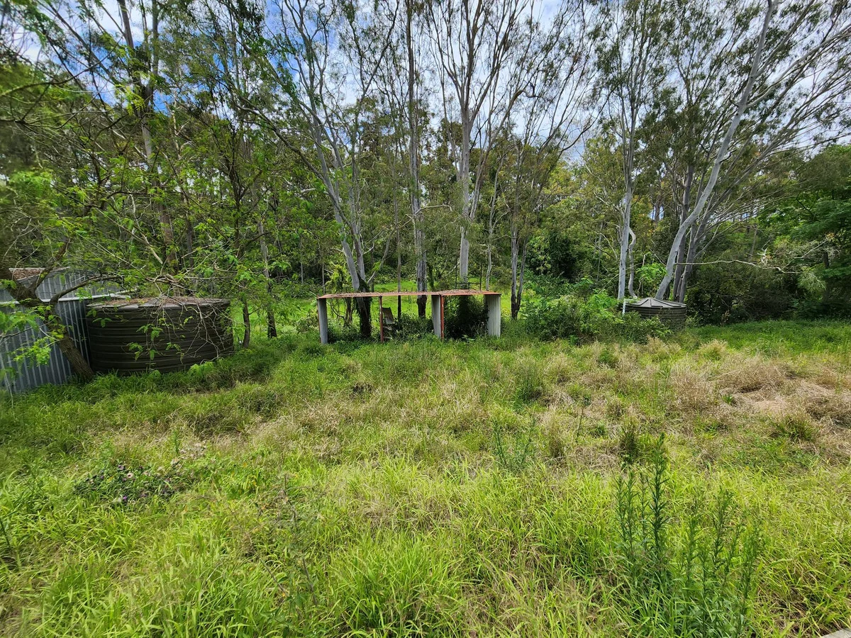 Image 10